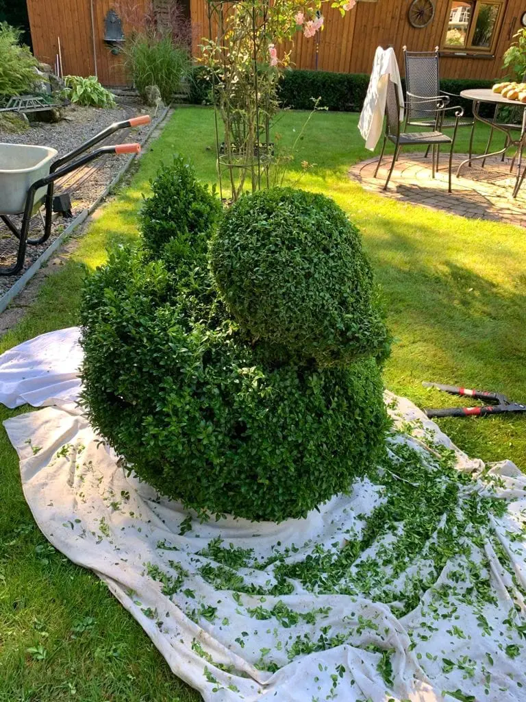 Detailarbeit im Garten